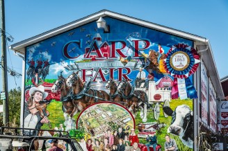 21621838349_6b022bfc46_z