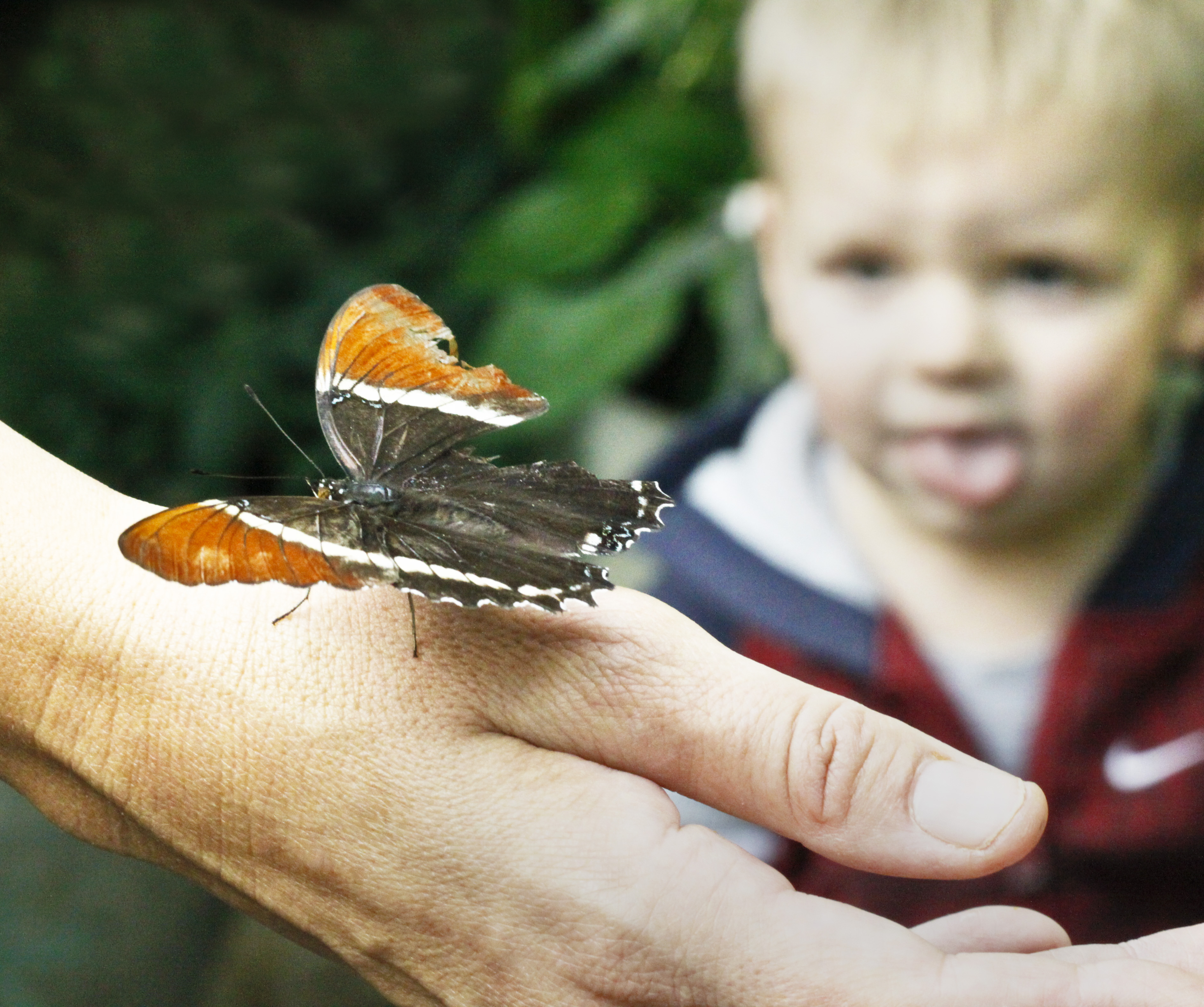 Boy and Butterfly by Ron Pierce.jpg