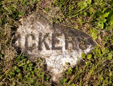 contemplative-photography-3-a