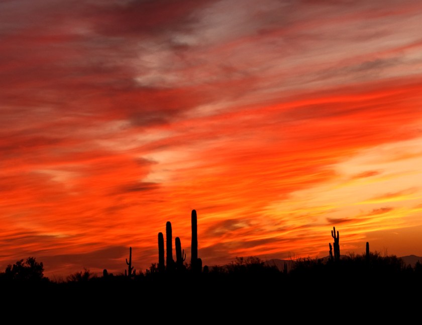 June hints - Nothing has an impact like a print.jpg