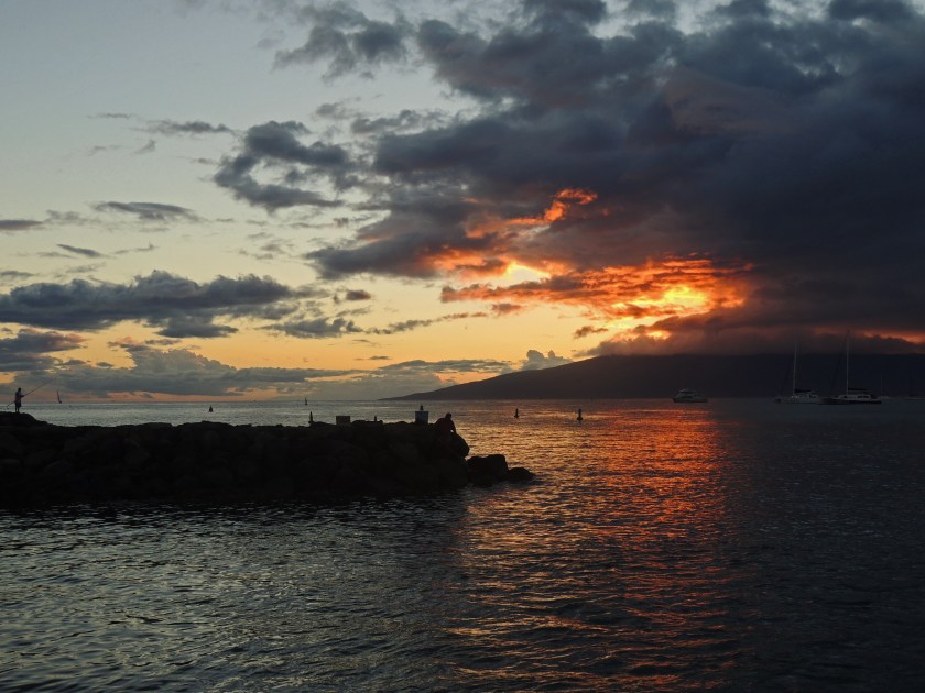 maui-light-by-elizabeth-wallis