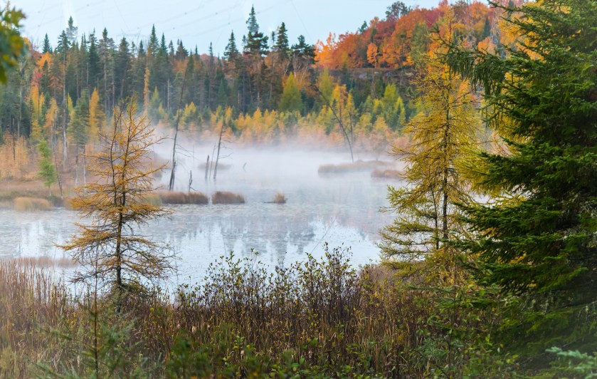 30006696133_f6f6b32f99_k