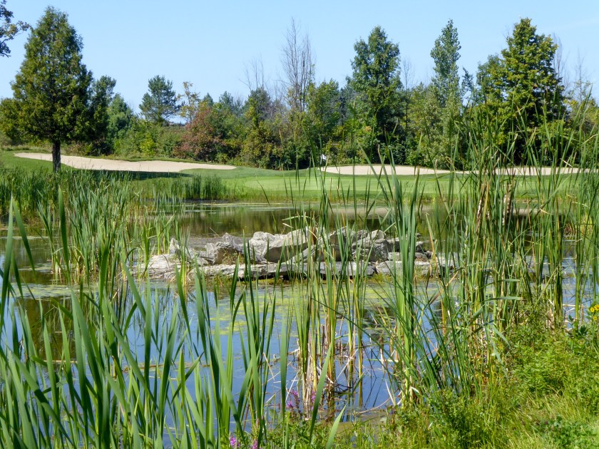 Gatineau GC Par 3 Hole 12 [7076] v2