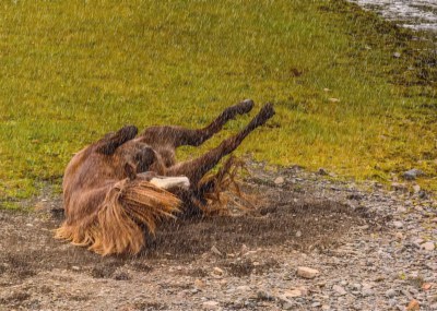 Slippery Rain by Amy Lo