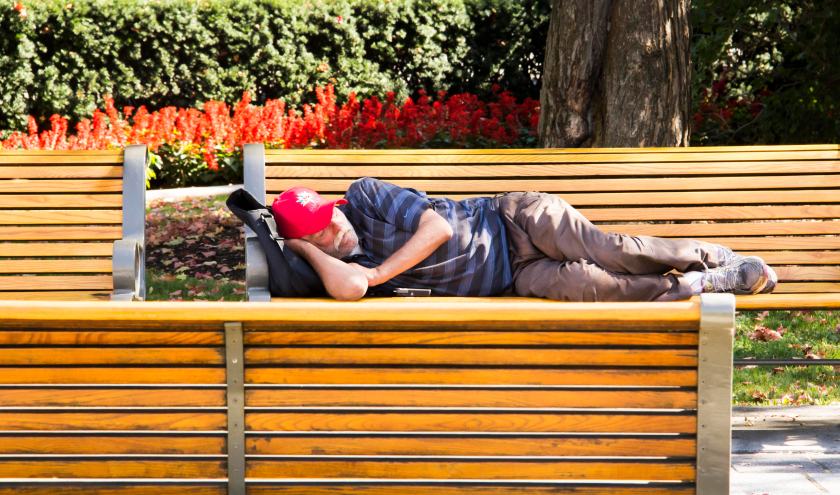 Forty Winks by Shirley LeClair