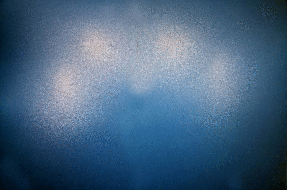 week 2 food by Sue Carey.gif