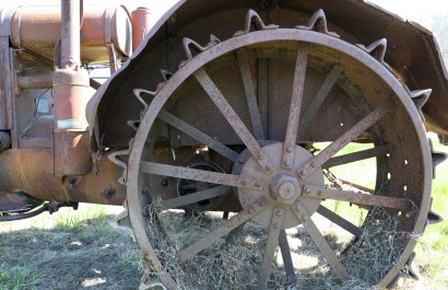 Back to the Field by Barrie Nichols