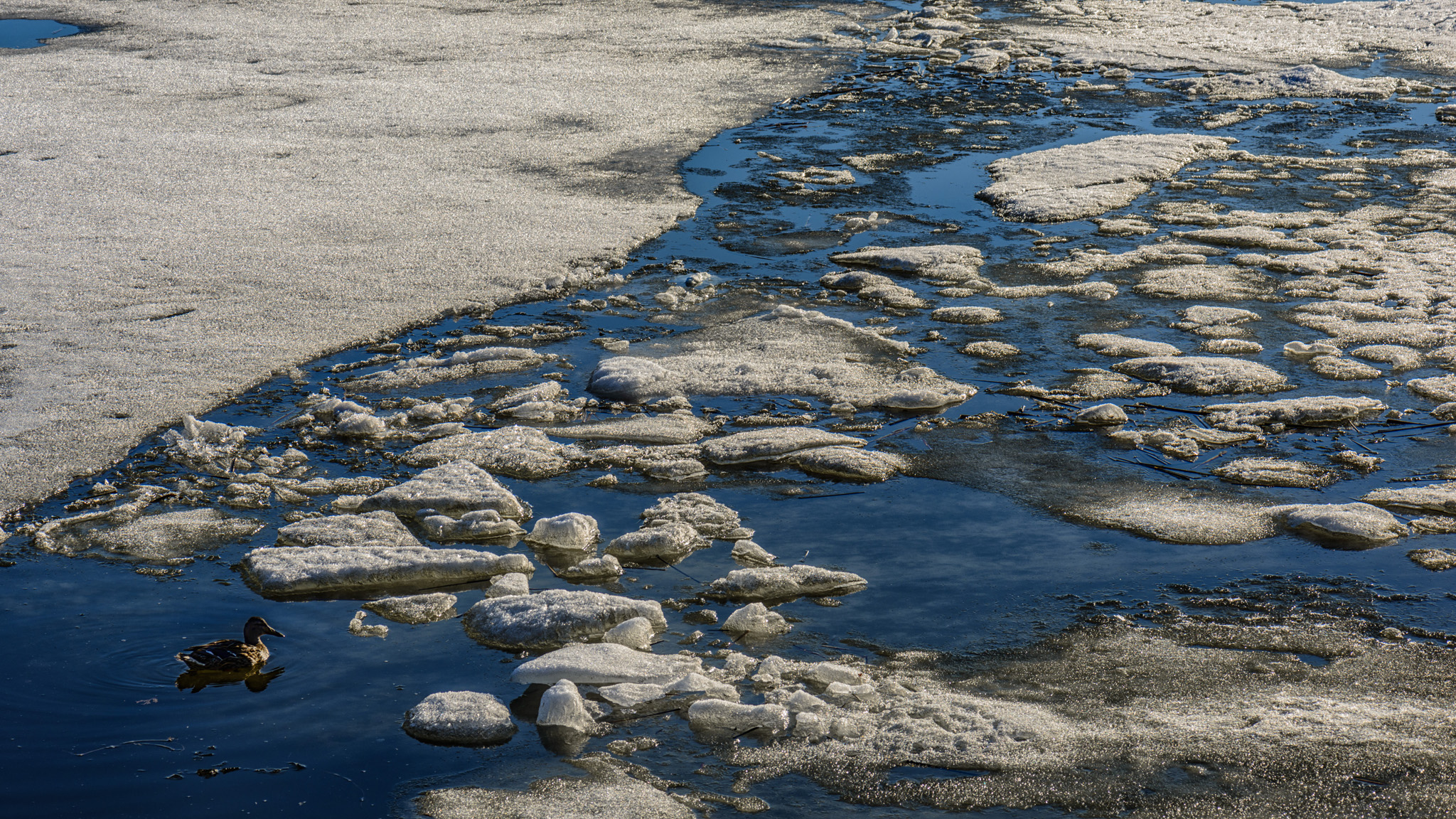 Ice Breakup by Ko Fung.jpg