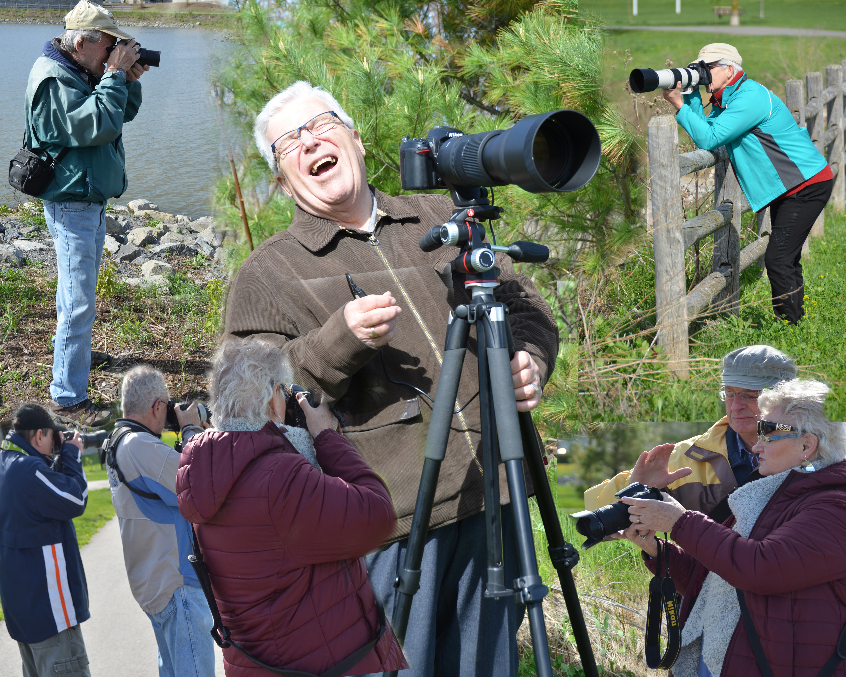 Group Shop by Sue Carey