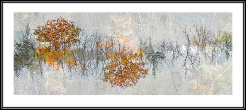 Ginny Fobert Lost in a Dream