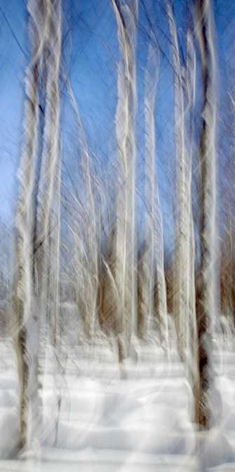 Rhythm by Ron Pierce