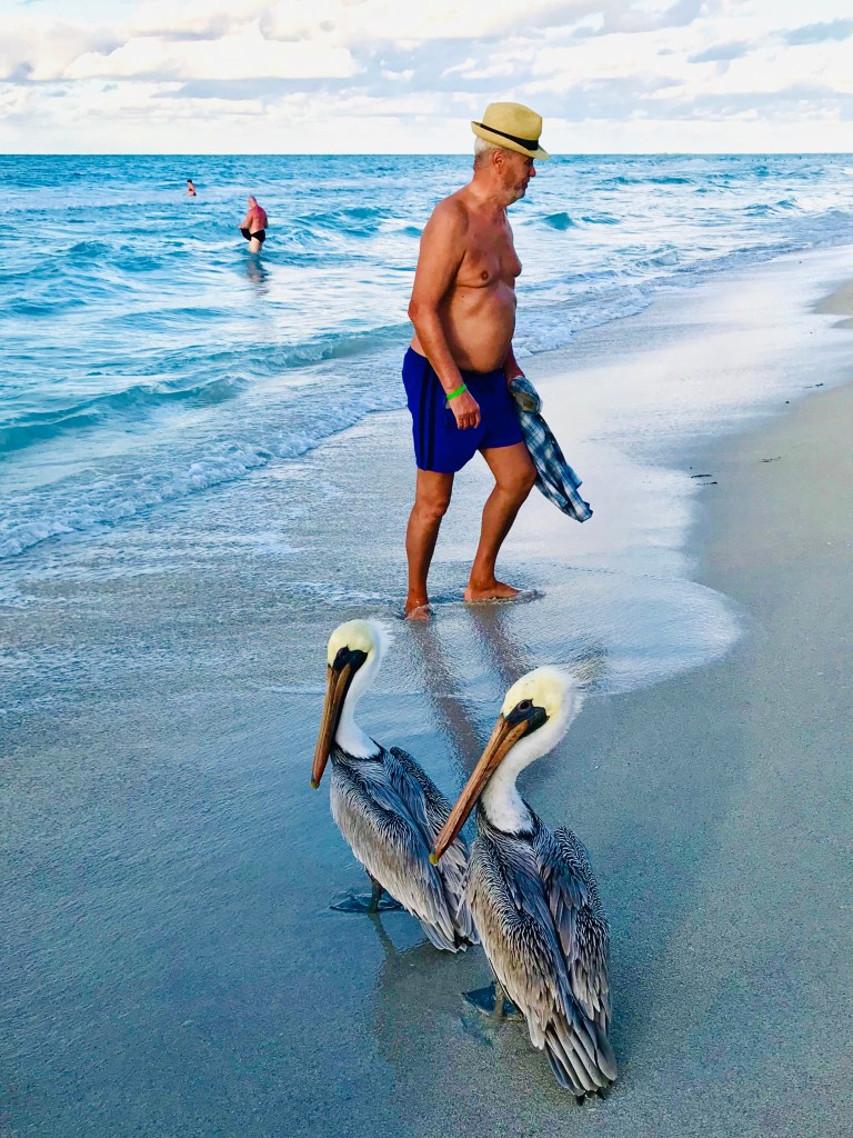 This image has an empty alt attribute; its file name is pavement-tool-by-ko-fung.jpg