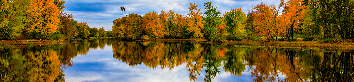 Kanata Seniors' Centre Camera Club