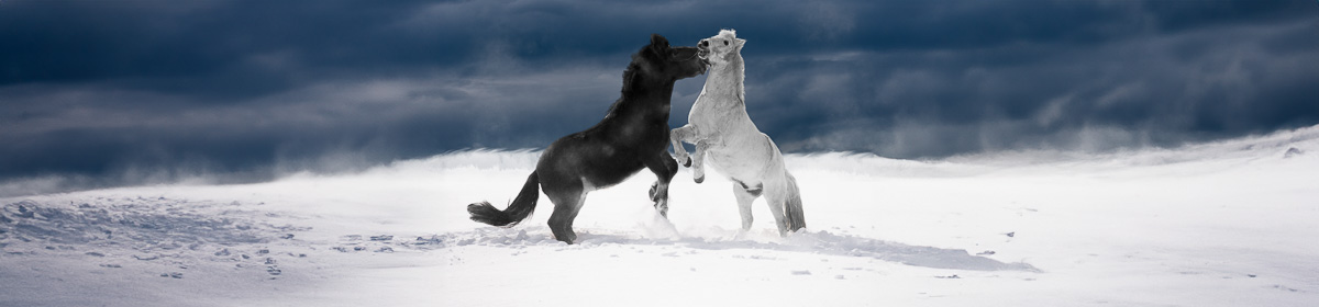 Kanata Seniors' Centre Camera Club