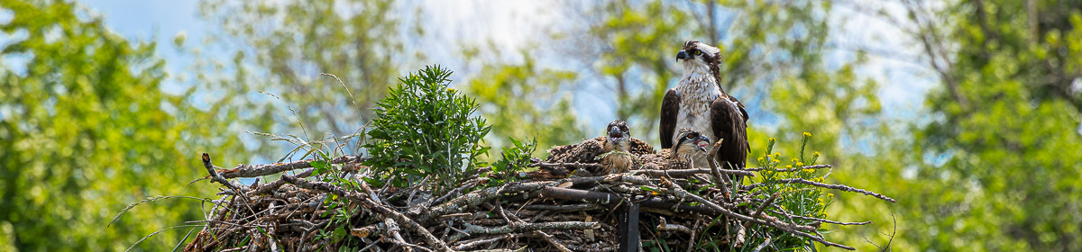 Kanata Seniors' Centre Camera Club